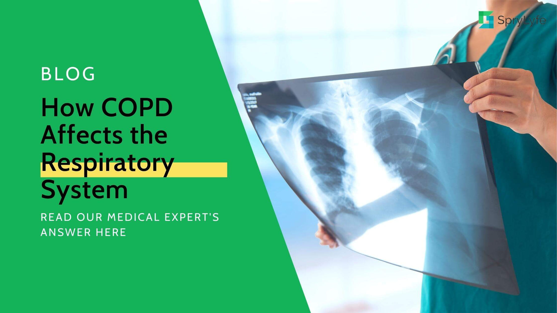 How Does COPD Affect the Lungs and Respiratory System?