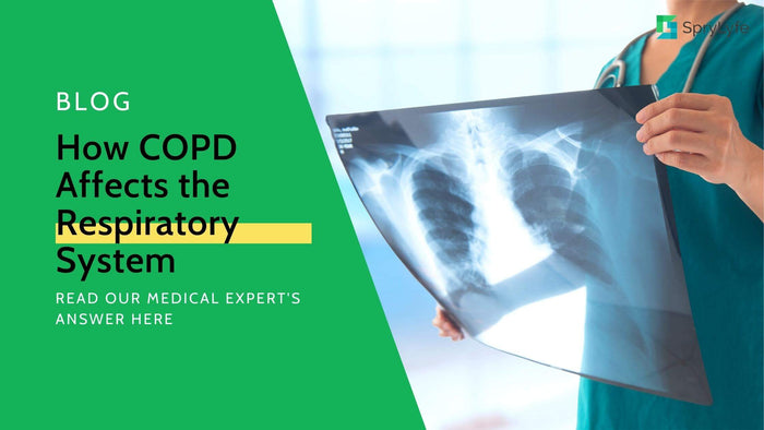 How Does COPD Affect the Lungs and Respiratory System?