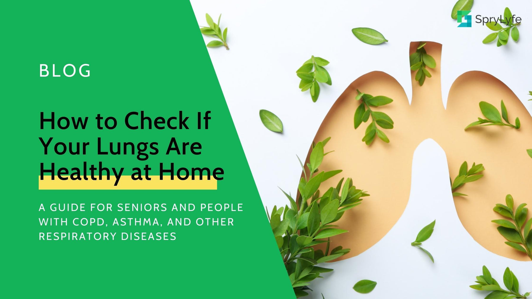 How to Check If Your Lungs Are Healthy at Home: A Guide for Seniors and People with COPD, Asthma, and Other Respiratory Diseases